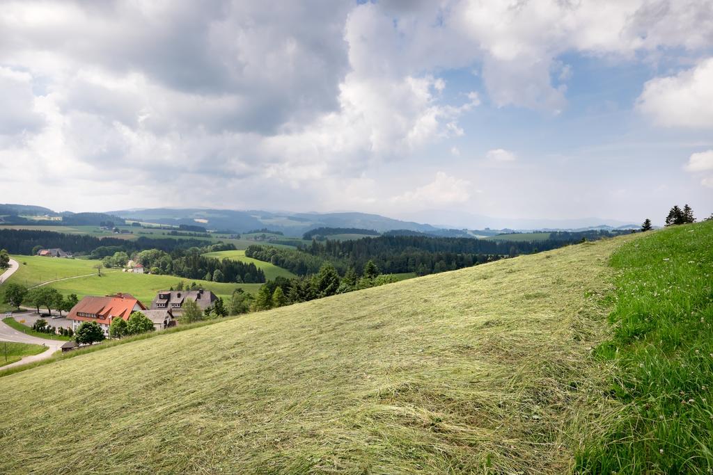 Gasthaus Sonne Neuhaeusle Sankt Märgen Eksteriør bilde